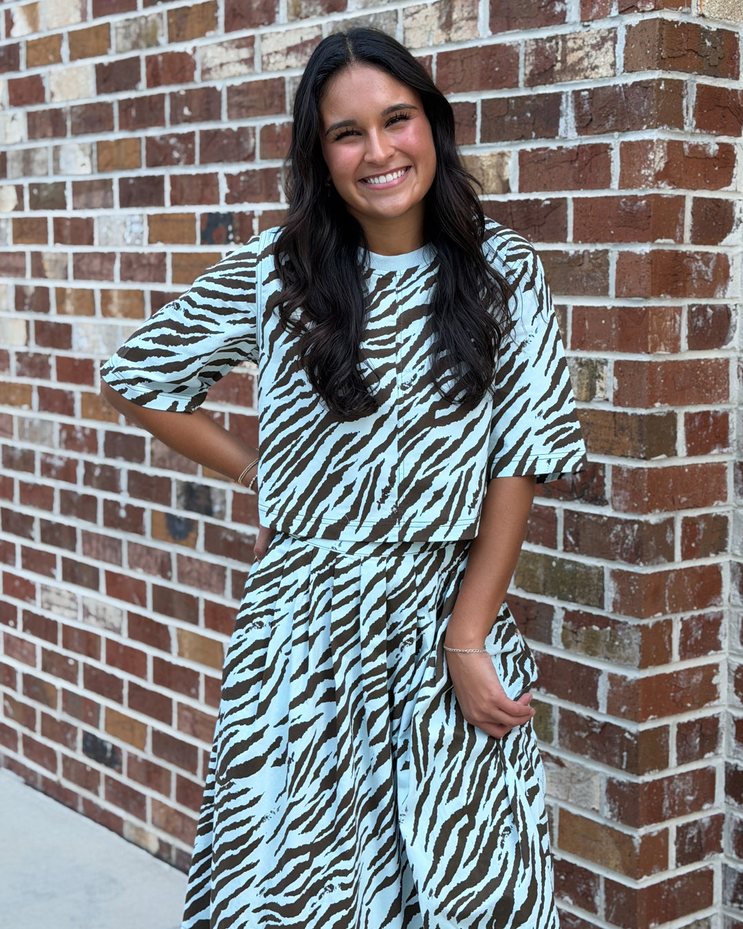 Zebra Set (Blue Brown)