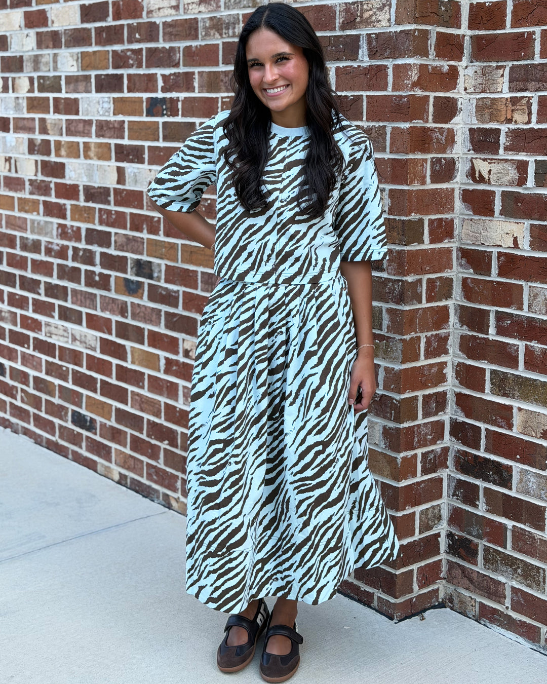 Zebra Set (Blue Brown)